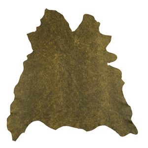 Rhino_Haut